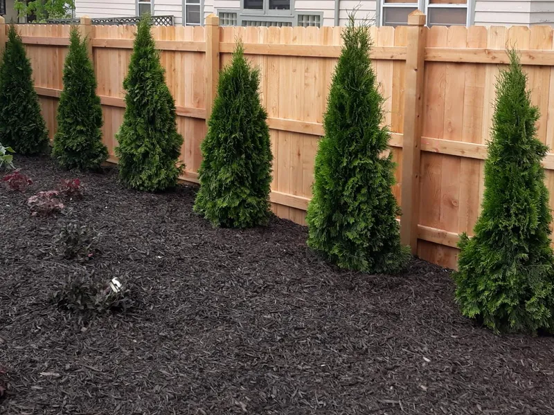 Professional tradesperson at work